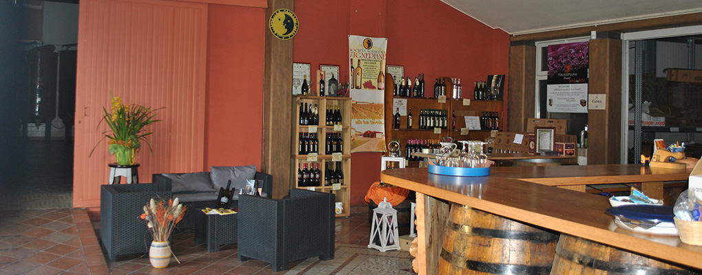 L'Azienda Vignepiane