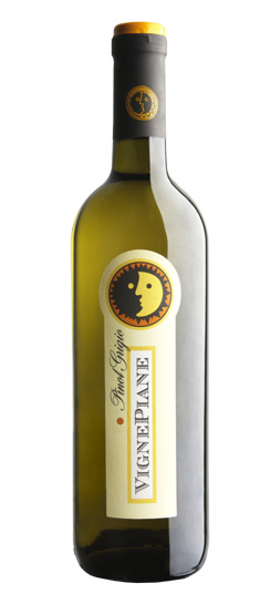 pinot-grigio-igt-veneto