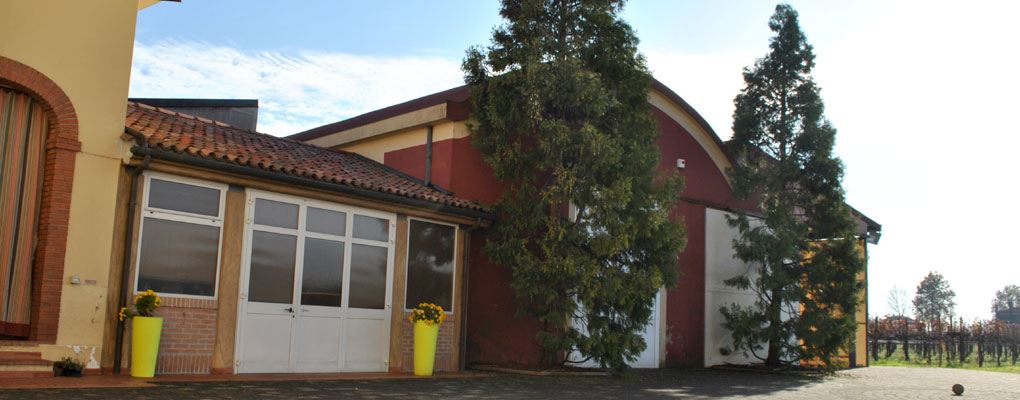 L'Azienda Vignepiane